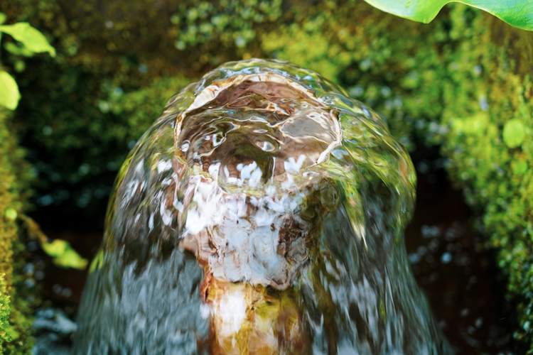 網掛川の水源から湧き出る天然水を利用
